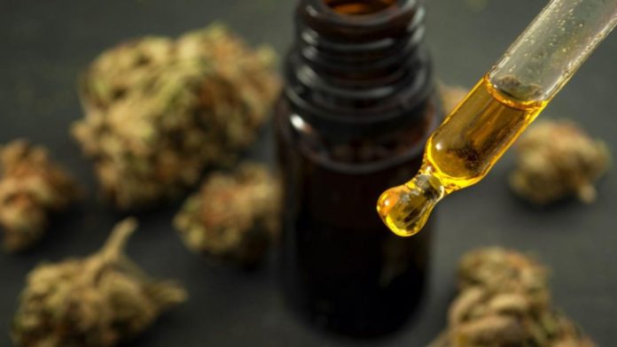 CBD oil and Cancer Ways CBD Help Mitigate the Risk of Cancer