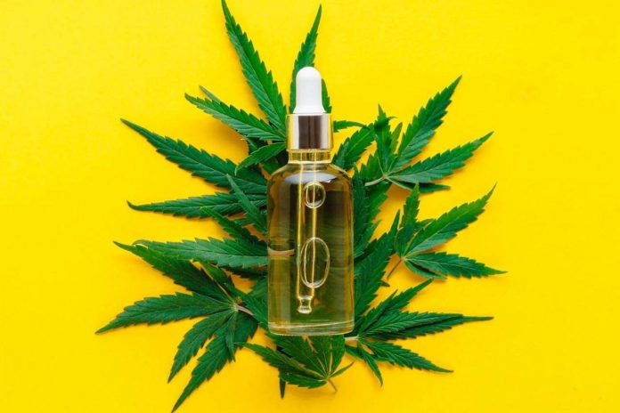 Vital Factors to Consider When Acquiring a CBD Oil Extraction Machine