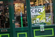 Top Reasons Why CBD is on The Rise