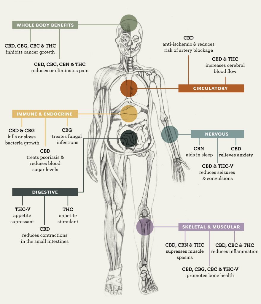 Health Benefits of Cannabis