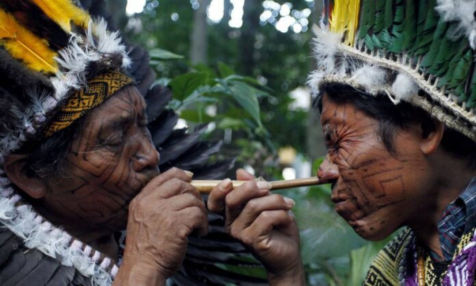 A Guide to Taking Rapé Amazon's Sacred Medicinal Snuff