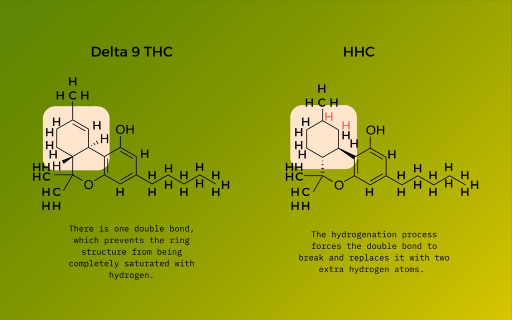 THC vs HHC compounds