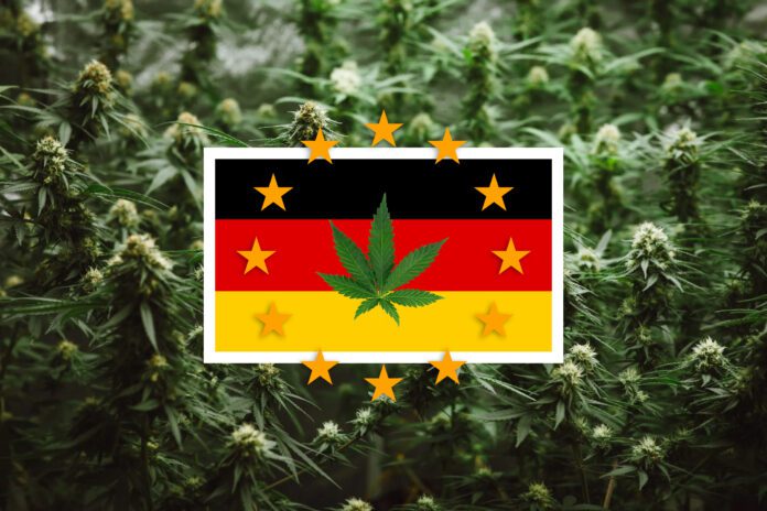Germany will Legalize Recreational Use of Cannabis