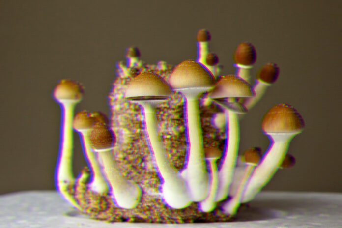First Psilocybin Trial At-Home has been Approved in Canada