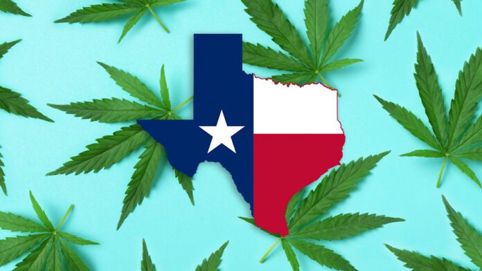 What You Need To Know About Dispensaries in Texas