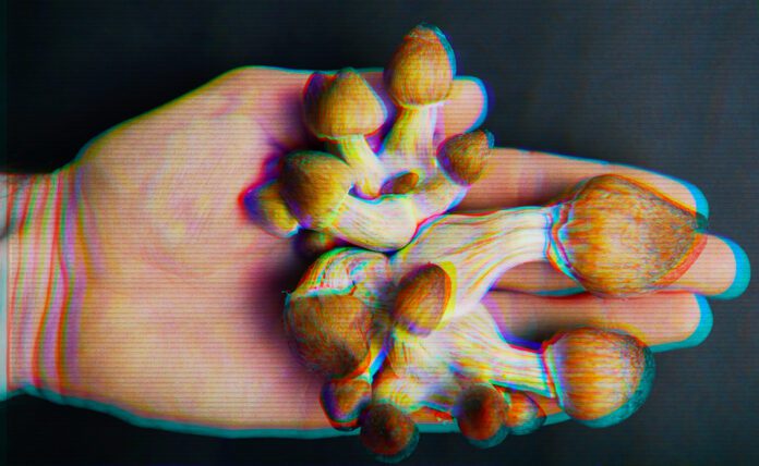 North American researchers agree to Test Psychedelic Substances in London