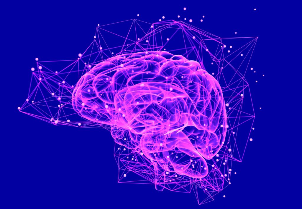 our brains produce Dimethyltryptamine (DMT) endogenously