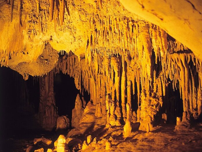 Archaeologists found 3,000-year-old containers of dyed human hair in the Es Càrritx cave on Menorca Island. The strands offer insight into drug consumption in ancient times.