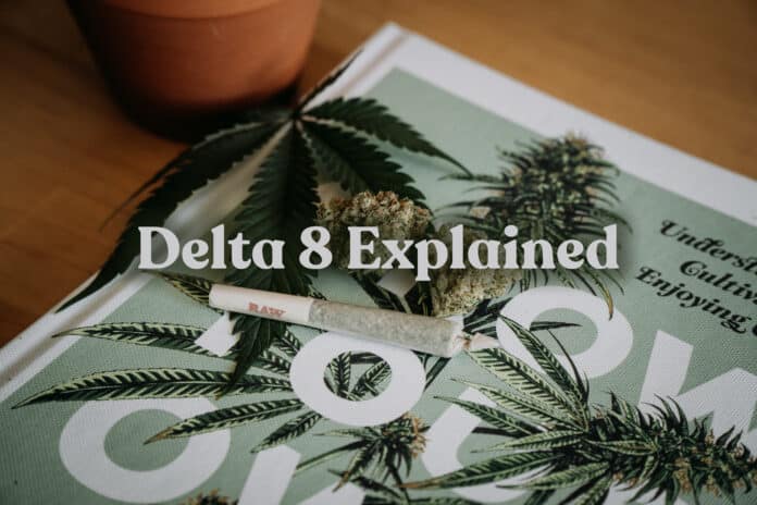 Delta 8 Explained
